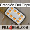 Erección Del Tigre cialis3